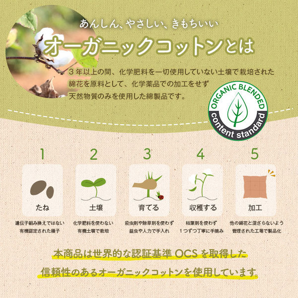 クッション 円形 約35cm丸 ベージュ 円座 穴あき オーガニックコットン 綿100% ボーダー 柄 洗える 穴あきクッション 円座クッション 円形クッション【代引不可】